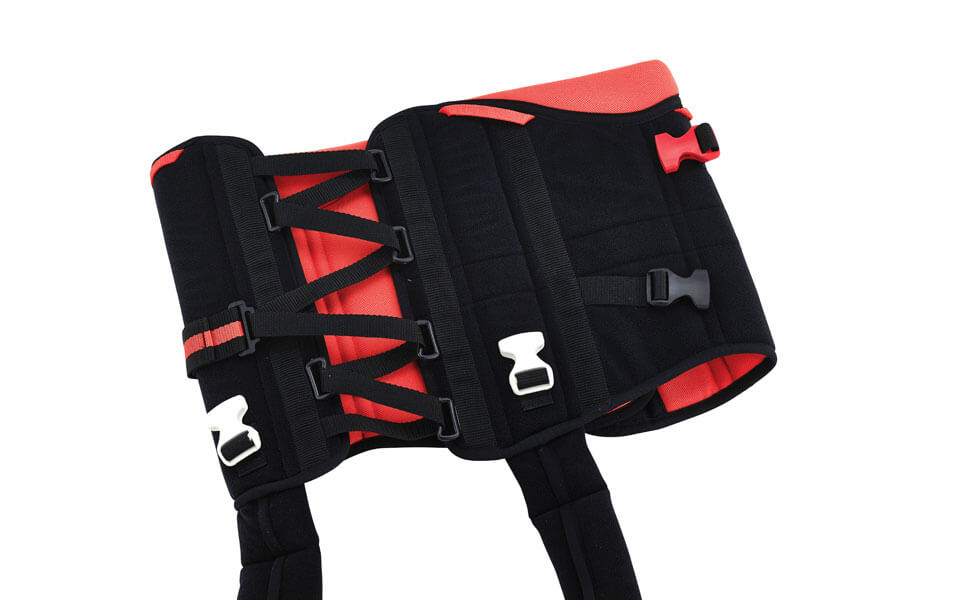 The innovative harness with straps